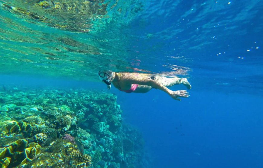 Soma Bay: Utopia Island Snorkeling Trip With Lunch