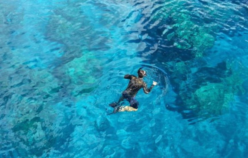 Dahab: Quad Biking, Snorkeling, Diving & Camel Riding