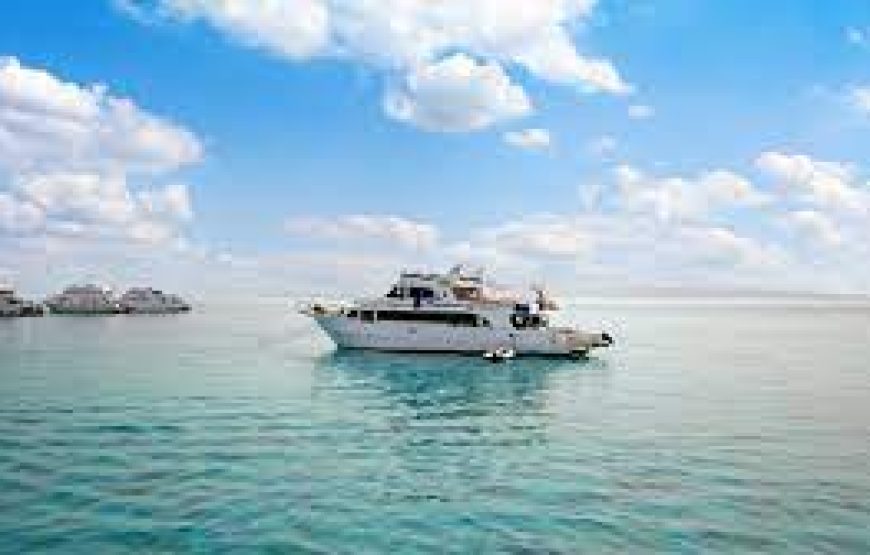 Soma Bay: Utopia Island Snorkeling Trip With Lunch