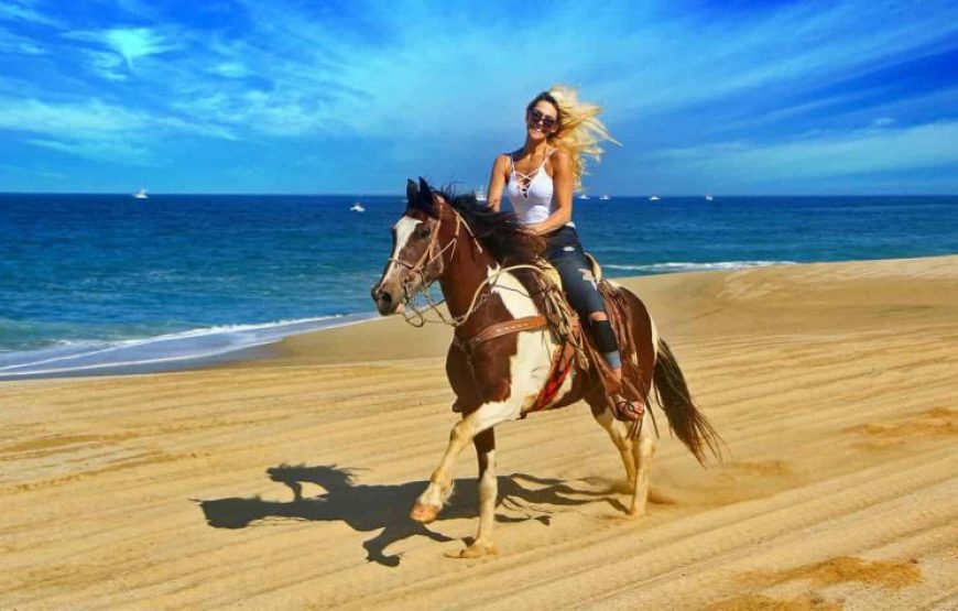 El Gouna: Horse Ridding Along The Sea With Swimming