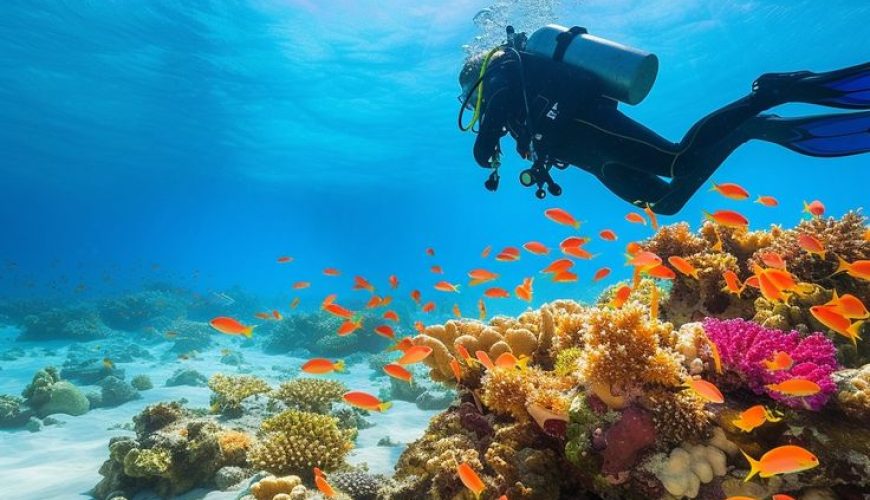 “Barriere Coralline di Sharm e Hurghada: Il Paradiso Sottomarino del Mar Rosso”