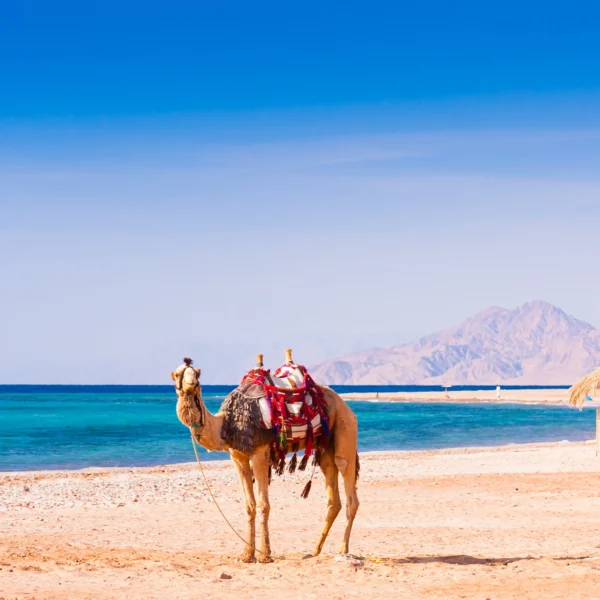 Hurghada (2)