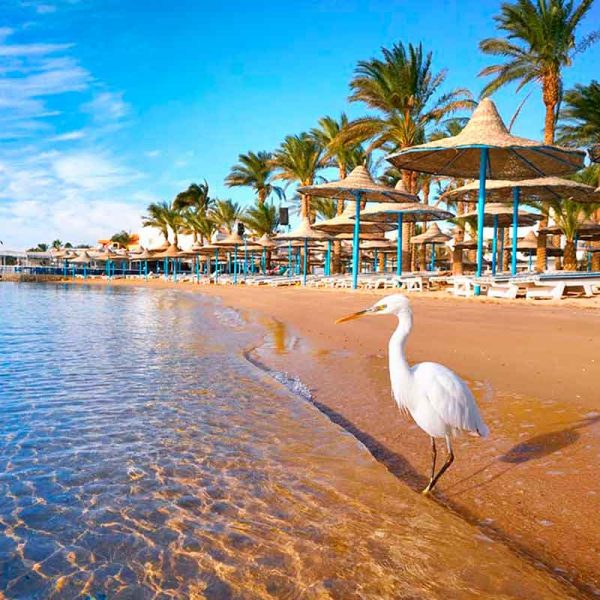 Hurghada (4)