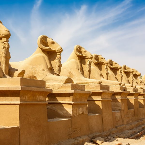 Luxor and Aswan (11)
