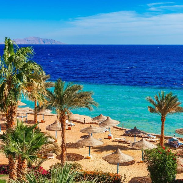 Marsa Alam (6)