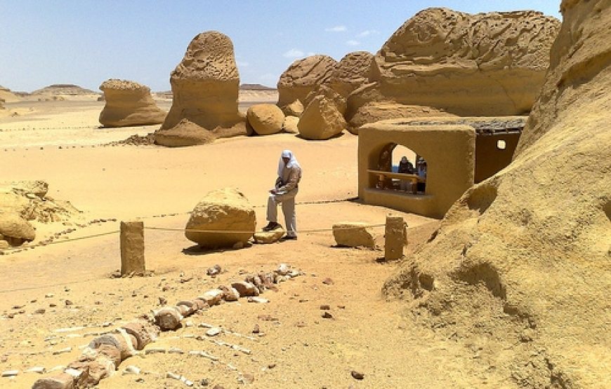 Cairo: Wadi El Hitan (Whale Valley) Desert Safari, Camel Ride & BBQ