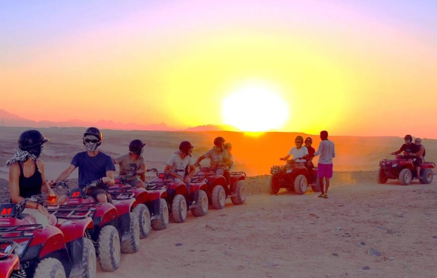 Marsa Alam: Three Hours Morning Or Sunset Quad Bike Safari With Camel Ride