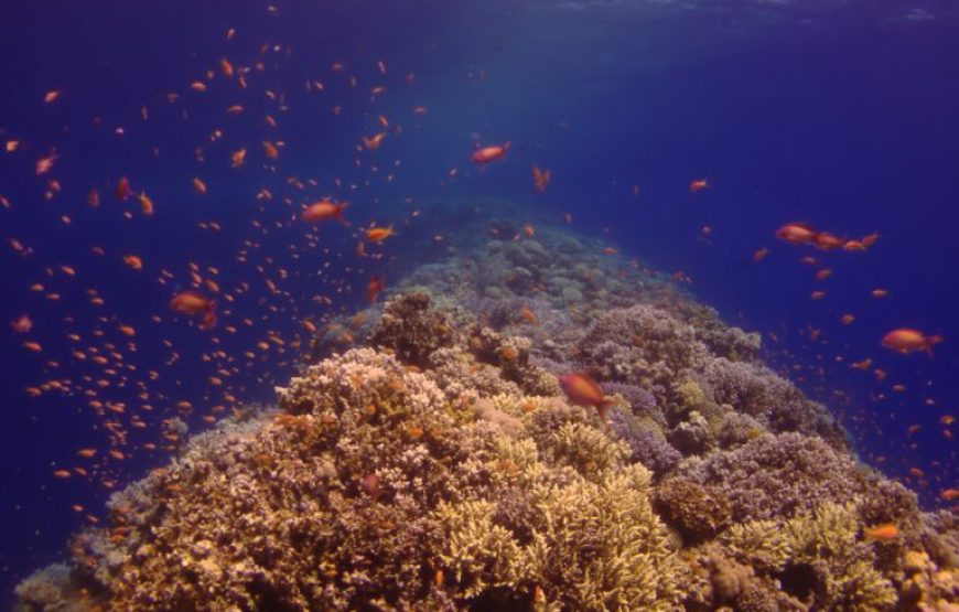 Sharm El Sheikh: 6 * 1 Blue Hole And Dahab City