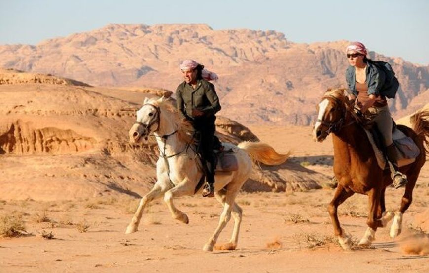 Sharm El Sheikh: 1-Hour Horseback Riding Experience