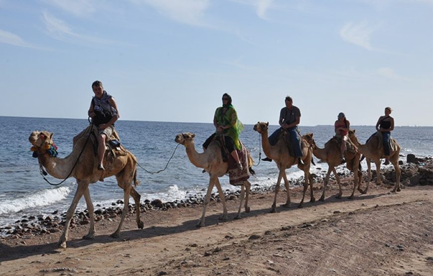 Sharm El Sheikh: 6 * 1 Blue Hole And Dahab City