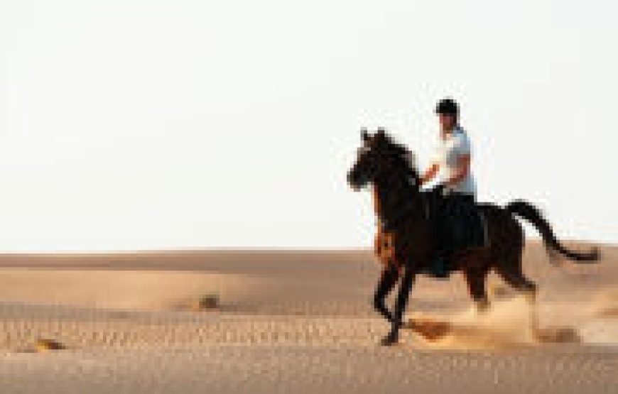 Sharm El Sheikh: 1-Hour Horseback Riding Experience
