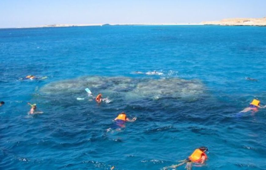 Sahl Hasheesh Boat Trip With Snorkeling And Lunch