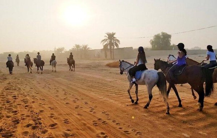 Sharm El Sheikh: 1-Hour Horseback Riding Experience
