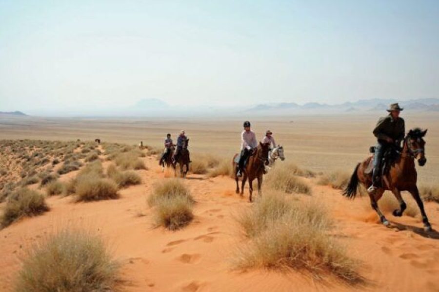 Sharm El Sheikh: 1-Hour Horseback Riding Experience