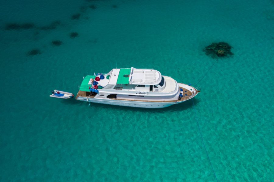 Hurghada: Private Boat Full-Day Snorkeling Trip With Lunch