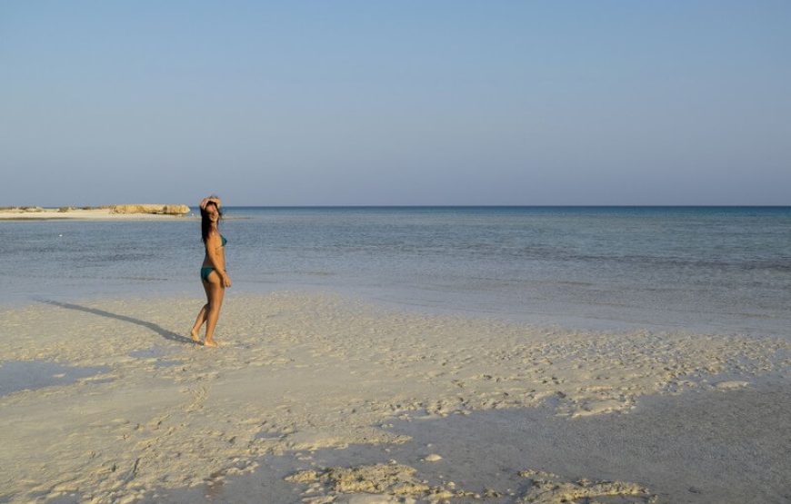 Marsa Alam: Snorkeling And Beach Trip To Sharm El Luli