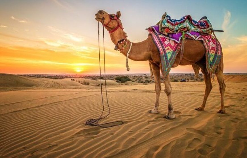 Cairo: 4×4 Desert Safari With Snowboard & Camel Ride