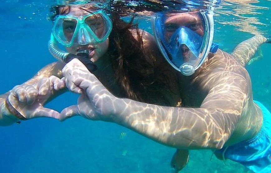 Hurghada: Dolphin House Snorkeling Day Tour With Lunch And Drinks