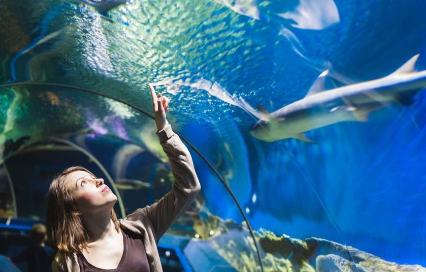 Hurghada: Grand Aquarium Entry Tickets And Transfer