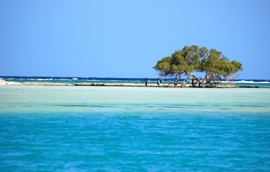 Marsa Alam: Hamata Islands Boat Tour With Snorkeling And Lunch