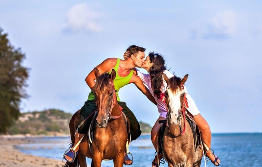 Makadi Bay: Horse Ridding Along The Sea With Swimming
