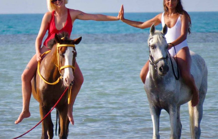 Makadi Bay: Horse Ridding Along The Sea With Swimming