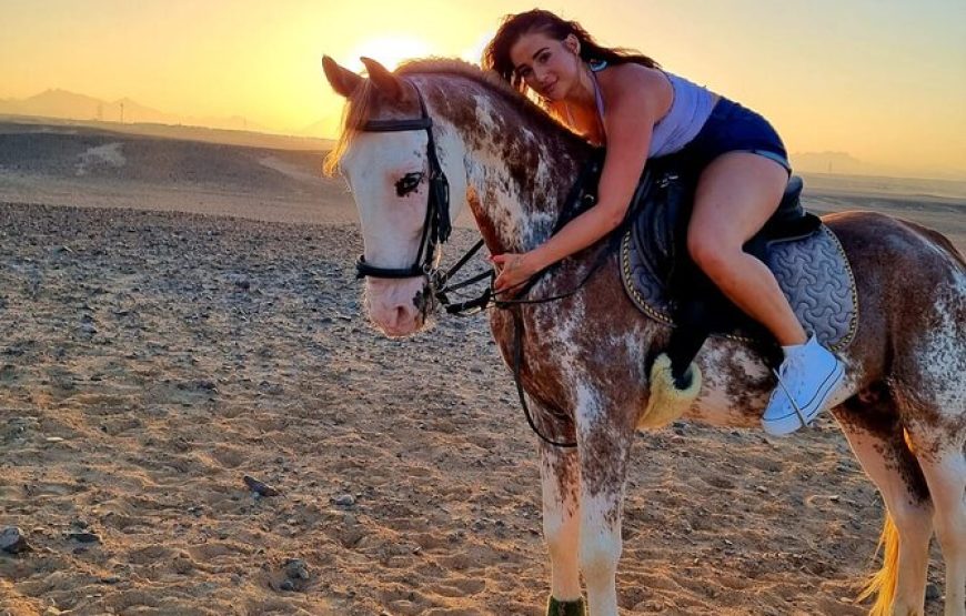 Marsa Alam: Horse And Camel Ride On The Desert Or Beach