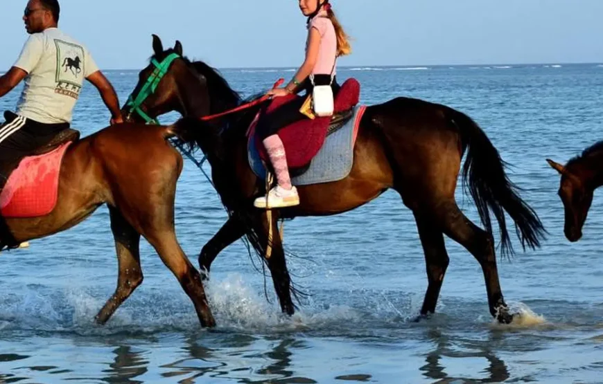 Makadi Bay: Horse Ridding Along The Sea With Swimming