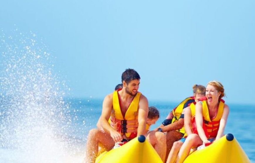 Hurghada: Dolphin House Snorkeling Day Tour With Lunch And Drinks