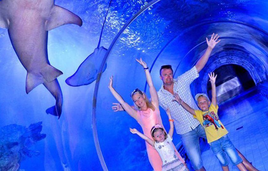 Hurghada: Grand Aquarium Entry Tickets And Transfer