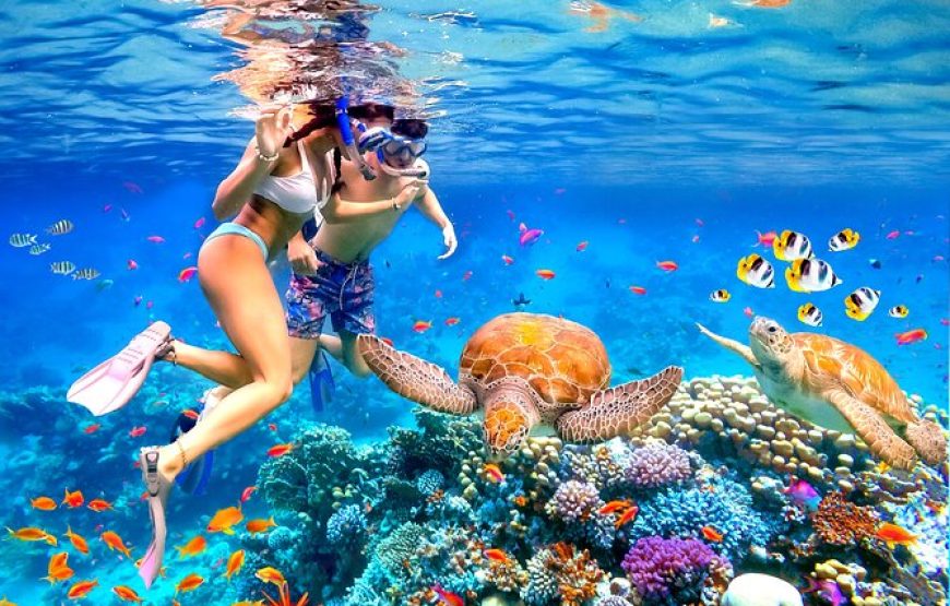 Hurghada: Private Boat Full-Day Snorkeling Trip With Lunch
