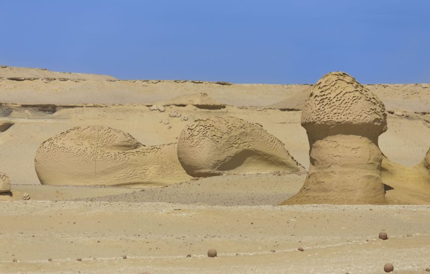 Cairo: Wadi El Hitan (Whale Valley) Desert Safari, Camel Ride & BBQ