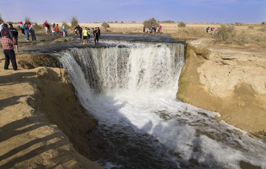 Cairo: Wadi El Hitan (Whale Valley) Desert Safari, Camel Ride & BBQ