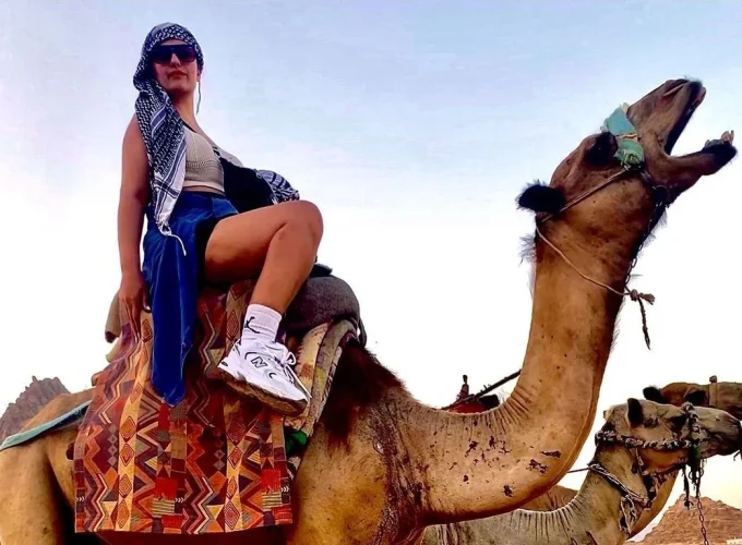Marsa Alam: Sunset Quad Bike & Safari Tour BBC Dinner And Desert Show