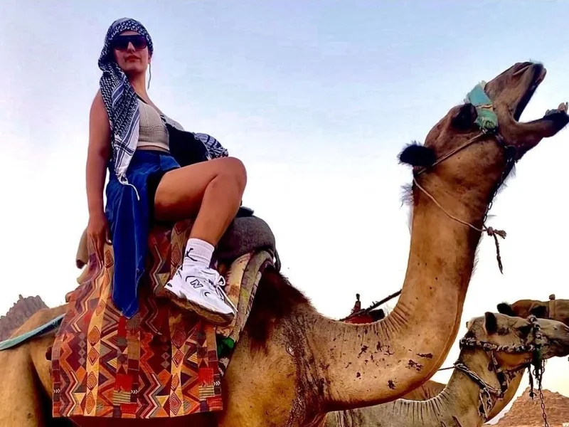 Marsa Alam: Sunset Quad Bike & Safari Tour BBC Dinner And Desert Show