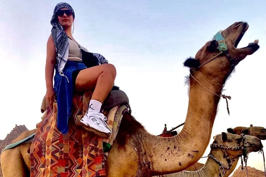 Marsa Alam: Sunset Quad Bike & Safari Tour BBC Dinner And Desert Show