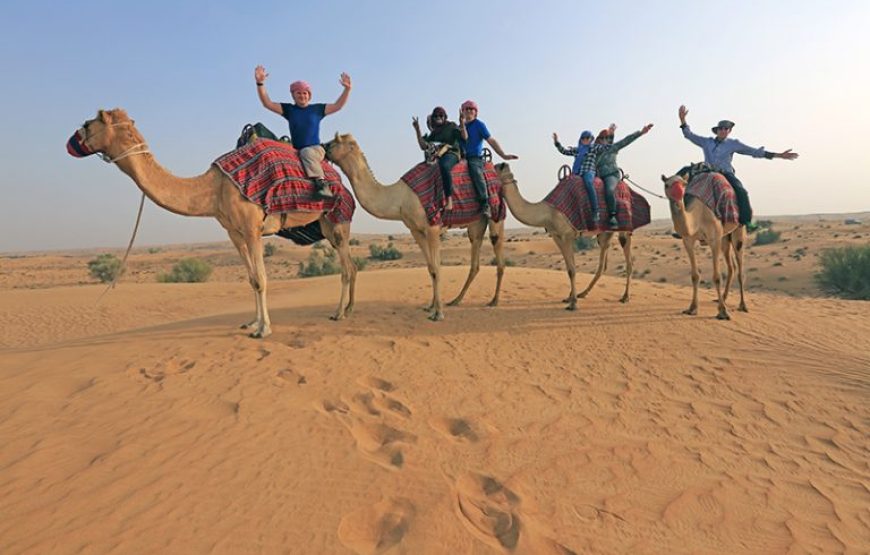 Sharm El Sheikh: Camel Ride & Bedouin Tea