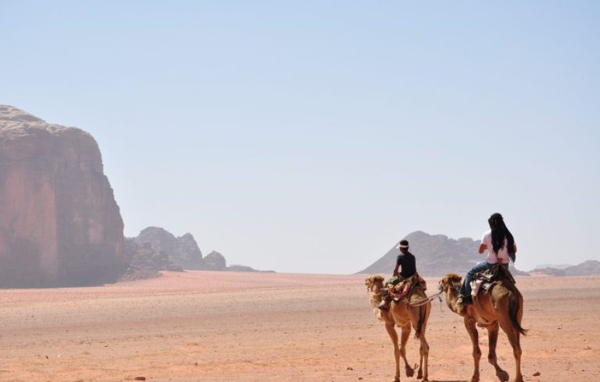 Sharm El Sheikh: Camel Ride & Bedouin Tea