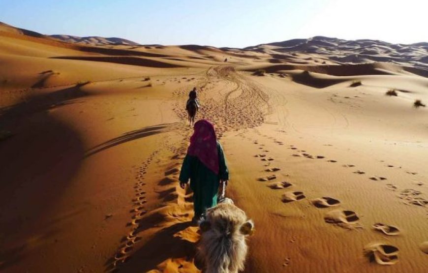 Sharm El Sheikh: Camel Ride & Bedouin Tea