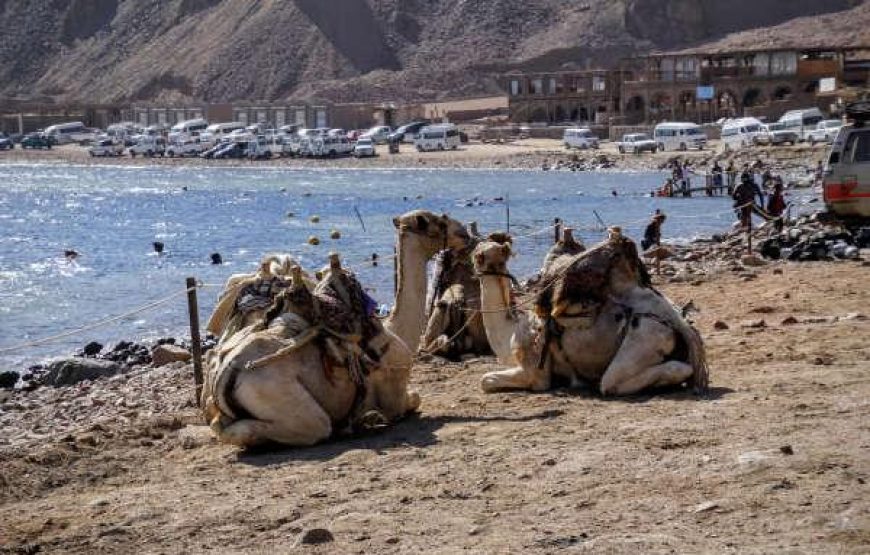 Sharm El Sheikh: Colored Canyon Of Salam And Dahab