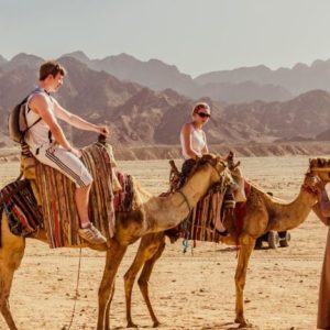 Sharm El Sheikh Desert Buggy Safari-1
