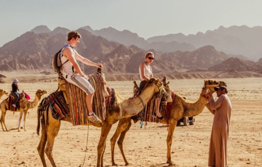Sharm El Sheikh: Desert Buggy Safari