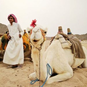 Sharm El Sheikh Desert Buggy Safari-3