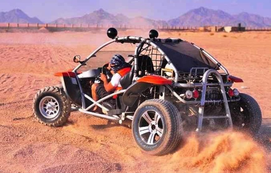Sharm El Sheikh: Desert Buggy Safari