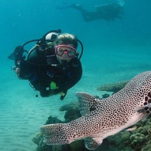Sharm El Sheikh Diving Intro Tour 2 Dives With Lunch-1