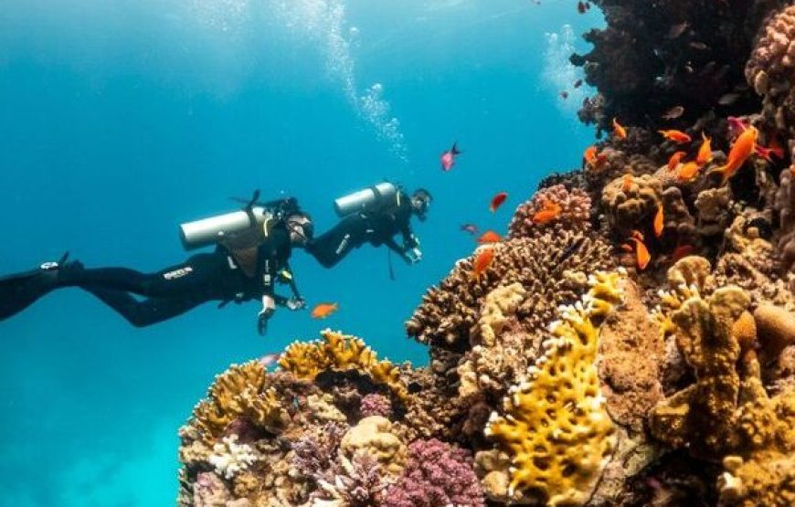 Sharm El Sheikh: Diving Intro Tour 2 Dives With Lunch