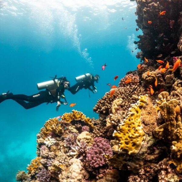 Sharm El Sheikh Diving Intro Tour 2 Dives With Lunch-th