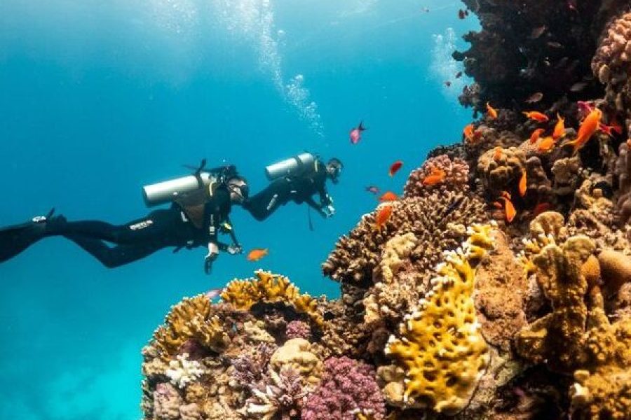 Sharm El Sheikh: Diving Intro Tour 2 Dives With Lunch