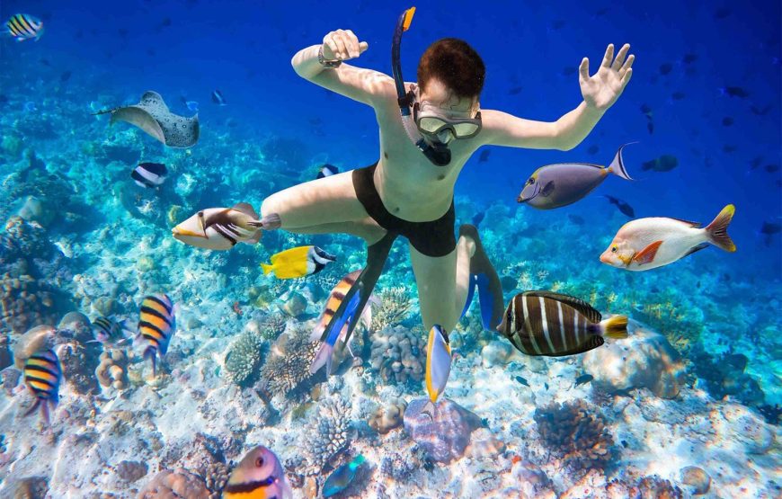 Soma Bay: Orange Bay Island And Snorkeling Tour With Lunch