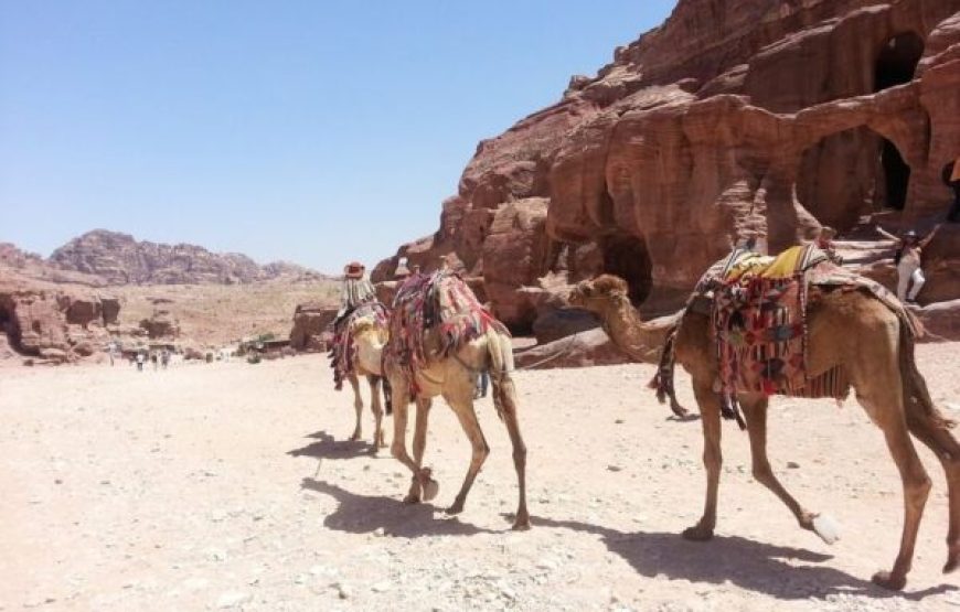 Soma Bay: Tour de safari, quad, pueblo beduino y cena barbacoa con espectáculo